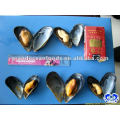 Boiled mussel meat with half shell seafood